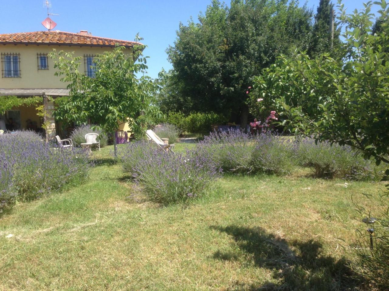 Rignano sullʼArno Agriturismo Papageno מראה חיצוני תמונה